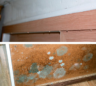 지난달 10일 서울의 한 장기전세주택(시프트) 아파트 다용도실 벽과 창틀에 물방울이 맺혀 얼어붙은 모습(위)과 다용도실에 두었던 수납장에 곰팡이가 핀 모습(아래).