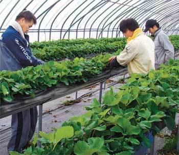 강진군은 귀농인 정착을 위해 지역 선도농가에서 숙식하며 영농기술을 배우도록 배려하고 있다. 사진 제공 강진군