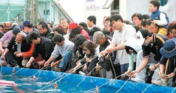 지난해 3월 서천군 마량포 동백정에서 열린 주꾸미 축제에서 관광객들이 수조에서 주꾸미를 잡고 있다. 사진 제공 서천군