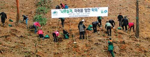 양
산국유림관리소는 17일 경남 창녕군 대합면 이방리에서 직원과 주민이 참여한 가운데 편백 5000여 그루를 심는 ‘나무심기’ 행사를
 가졌다. 사진 제공 양산국유림관리소