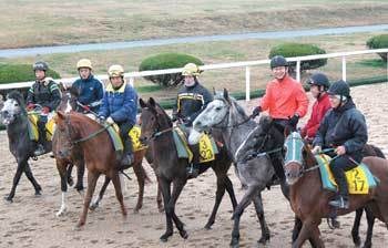 남병곤 한국마사회 제주경마본부장(오른쪽에서 세 번째)이 말을 타고 경주로에서 기수, 조교사의 애로사항을 듣는 이색 간담회를 개최했다. 임재영 기자