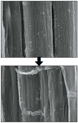 전자빔을 한산모시에 쪼였을 때 표면에 나타나는 변화를 주사전자현미경(SEM)으로 촬영한 사진. 전자빔을 쬐지 않았을 때(위)와 달리 전자빔을 쬐면 섬유 표면의 불순물이 사라지고 강도가 세진다. 사진 제공 충남대