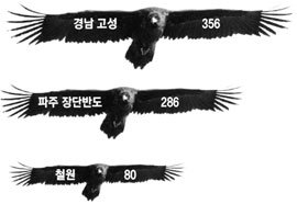 2009년 2월 주요 월동지를 찾은 독수리 현황 (단위: 마리)