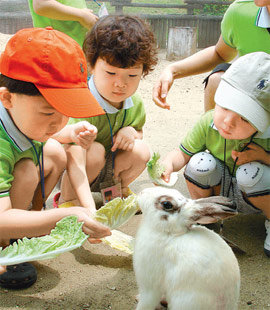 서울동물원은 8일 어린이들이 전문가와 함께 동물들의 생태와 특성을 배울 수 있도록 하는 체험 교육 프로그램을 선보였다. 지난해 이 프로그램에 참가한 어린이들이 토끼에게 배추를 먹이고 있다. 사진 제공 서울동물원