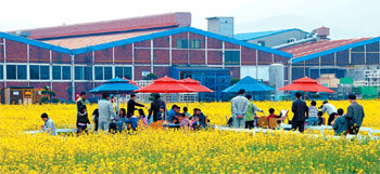 경남 창원공단 내 S&T중공업이 10일 회사 안에서 개최한 유채꽃 나들이 행사. 사진 제공 S&T중공업