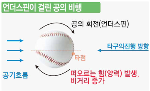 ‘줄자로 비거리를 측정해 보고 싶은’ 홈런이 가장 많이 나오는 구종은 무엇일까. 야구인들은 “직구, 슬라이더”로 의견이 엇갈렸다. 물리학적으로는 커브다. 커브는 타자입장에서 공에 언더스핀을 걸기가 유리하다.