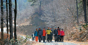 전남 순천 시민들이 순천시 별량면 화포리에서 낙안면 낙안읍성까지 20㎞를 연결한‘꽃 산 넘어 동화사길’을 걷고 있다. ‘꽃 산 넘어 동화사길’은 남도 삼백리 길 11코스 중 하나다.