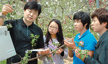 경북 군위군 소보면의 사과시험장 이동혁 연구관(왼쪽)이 사과원에 설치한 ‘무인 해충발생 감시 및 방재장치’ 상태를 설명하고 있다.