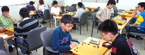 한국기원 연구생들이 입단대회에서 대국을 벌이고 있다. 한국기원은 25일 연구생 폐지를 골자로 한 입단제도 개선안을 발표했다. 사진 제공 한국기원