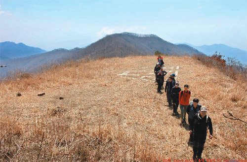 배재를 출발해 십자봉으로 향하는 중간지점에 있는 헬기장 구간을 등산객들이 지나고 있다. 사진 제공 청주 흥덕고 박종익 교사