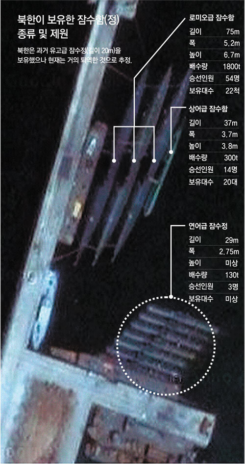 2006년 9월 구글어스 위성사진  2006년 9월 19일 온라인 위성사진 서비스인 ‘구글어스(Google Earth)’가 촬영한 북한 황해도 비파곶 잠수함 기지 사진. 미래희망연대 송영선 의원은 31일 이 사진을 근거로 북한이 천안함 폭침에 사용한 것으로 추정되는 연어급 잠수함(사진 아래)을 보유하고 있다고 주장했다. 송 의원은 통상 공개된 로미오급 잠수함(사진 위)의 길이(75m)를 기준으로 별도의 소프트웨어를 이용해 연어급 잠수함의 길이를 산출했다고 밝혔다. 구글어스 캡처 사진