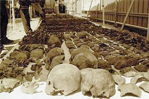 광산 갱도에서 집단으로 발견된 민간인 희생자 유해. 사진 제공 충북대 박물관