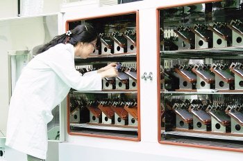 SK에너지 기술원 내 자동차용 리튬이온 배터리 생산 공장에서 만든 리튬이온 배터리를 연구원이 테스트하고 있다. 사진 제공 SK에너지