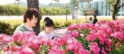 경주세계문화엑스포공원을 찾은 관람객들이 공원 울타리를 따라 피어있는 덩굴장미를 감상하고 있다. 사진 제공 경주세계문화엑스포공원