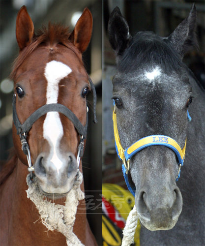 트리플세븐 백파 (왼쪽부터).