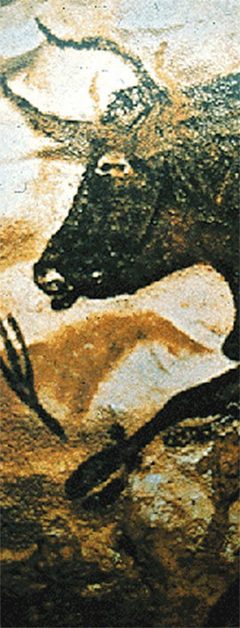프랑스 라스코 지방에서 발견된 구석기시대 동굴 벽화는 그림 그리기가 인류에게 얼마나 자연스러운 일인지 보여준다. 인류는 일찍부터 그림으로 시각적, 입체적 사고를 해왔다. DBR 자료 사진