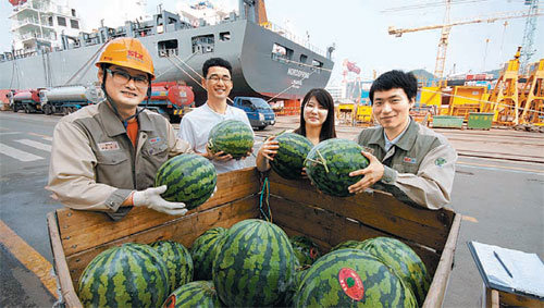 STX조선해양 진해조선소 직원들이 수박을 들고 포즈를 취하고 있다. 이 회사는 다음 달까지 매주 수박 1000통을 구입해 직원들에게 후식으로 제공한다. 사진 제공 STX조선해양