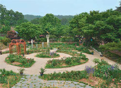 올 6월 문을 연 ‘나비의 정원’. 동아일보 자료 사진