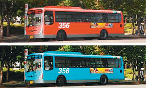 대구 시내버스 색상이 급행노선(위)은 적색, 일반노선은 청색으로 바뀐다.장영훈 기자 jang@donga.com