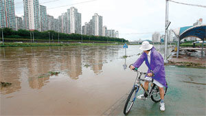 서울지역에 100mm가 넘는 집중호우가 쏟아진 29일 중랑천 수위가 인도 턱까지 올라와 물살이 넘실대고 있다. 서울 노원구 중랑천 둔치에서 자전거를 탄 한 시민이 물에 잠긴 ‘보행자전용도로’ 표지판을 바라보고 있다. 양회성 기자 yohan@donga.com