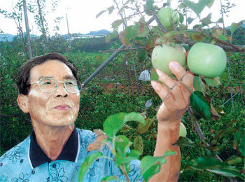 4일 전춘섭 씨가 전남 장성군 남면 평산리 자신의 과수원 사과나무에 열린 사과를 보며 웃고 있다. ‘기적의 사과’는 지난해 처음으로 4100개를 수확했으나 올해는 1만3000개가 열렸다. 이형주 기자 peneye09@donga.com