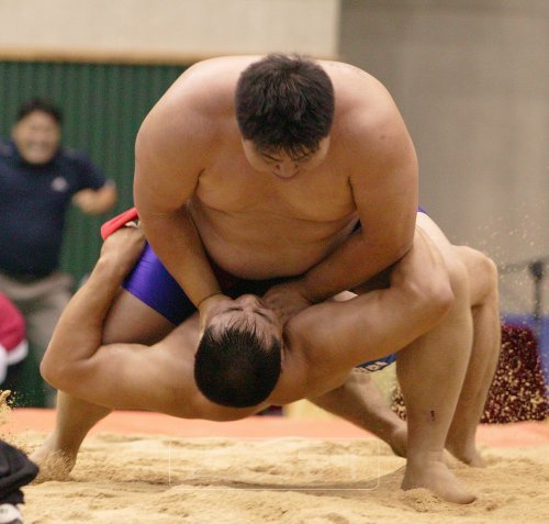 “봤지! 내가 위다”제3회 국민생활체육 大천하장사씨름대회에서 남자 천하장사로 등극한 김기영(위)이 장호진을 누르기로 제압하고 있다.