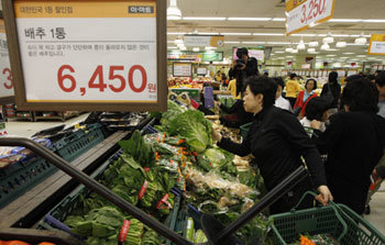 신세계 이마트가 7일부터 13일까지 일주일 동안 무, 대파, 시금치, 양파, 고추, 애호박, 쌈채소, 고구마 등 농산물 8종을 6.3∼38.5% 할인 판매한다. 가격이 폭등한 배추는 포기당 6450원으로 동결했다. 홈플러스도 7일부터 일주일간 배추, 고추 등 채소류를 최대 30%까지 싸게 판매한다. 홍진환 기자 jean@donga.com