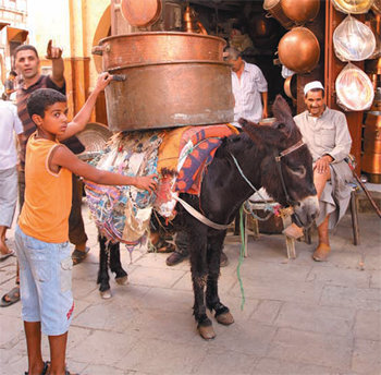 A boy and a donkey in a brassware market in Fes. Donkeys and mules are an important means of transportation on the narrow streets of Fes where cars cannot move.