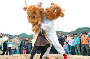 2008년 열린 제5회 횡성한우축제에서 관광객들이 한우 인형탈을 쓰고 씨름 이벤트를 벌이고 있다. 사진 제공 횡성군