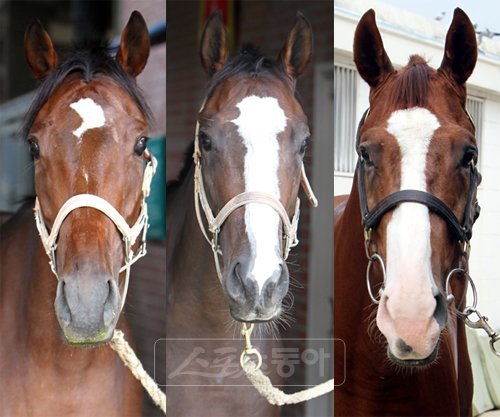 매직파티-스마이스-선히어로 (왼쪽부터). 스포츠동아DB
