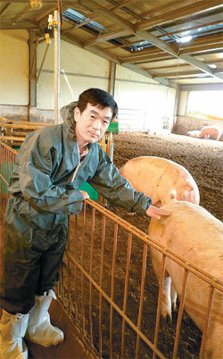 이연원 대표가 운영하는 가나안 농장은 항생제를 쓰지 않고 유기농 사료만 먹여 돼지를
키우고 있다. 이 대표는 “건강한 환경에서 자라는 돼지가 좋은 고기를 만든다”고 강조했다. 예산=주성원 기자 swon@donga.com