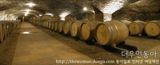 ▲ 14세기 성 지하에 자리잡은 와인 저장고.