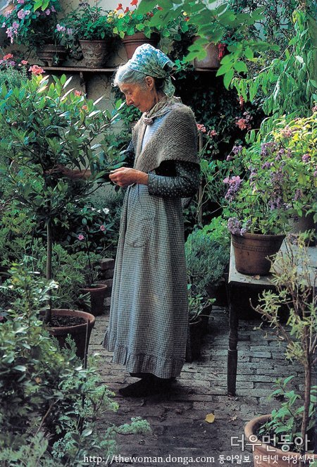 ▲ 다양한 식물이 가득한 타샤의 온실 정원. 온실은 허브를 가꾸는 곳으로 이용했다.