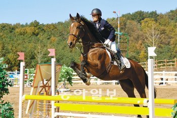 최근 경북 상주국제승마장에서 열린 세계대학생승마대회에서 한 선수가 장애물 넘기를 하고 있다. 사진 제공 상주시