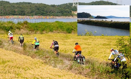 해안길로 논둑길로 1박2일 120km…‘쇠말’은 달렸다자전거를 탄 식객들은 잘 닦인 아스팔트길보다 좀 돌아가더라도 호젓한 들길을 선호한다. 길섶에 제멋대로 자라난 풀과 흙, 돌덩이가 MTB의 바퀴에 거칠게 닿는 것도 그렇고 무엇보다도 자동차의 매연과 먼지에서 해방되어 자유롭게 달리는 느낌을 좋아하는 것이다. 강화도의 가을 들녘을 가감없이 가슴에 담아두려면 역시 들길을 달려야 한다. 작은 사진은 해안제방길.
