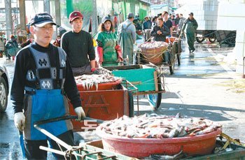 도루묵 철을 맞아 강원 고성군 거진항은 갓 잡은 도루묵을 정리하는 어민들로 북적이고 있다. 사진 제공 고성군