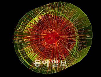 납이온 충돌로 만들어진 수많은 입자의 궤적. 사진 제공 CERN
