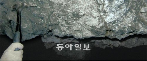 한국의 ‘노다지’ 전남 해남군 모이산 인근의 금 광체(鑛體). 흰색은 석영이다. 지세정 실장은 “주로 석영에서 많은 금이 나온다”고 말했다. 사진 제공 한국지질자원연구원