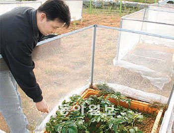 농촌진흥청 온난화대응연구센터가 한라산 해발고도별로 시험포장을 만들어 기후 변화에 따른 농작물 적응 시험을 하고 있다. 임재영 기자 jy788@donga.com