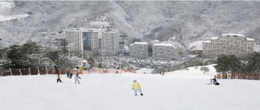 [대명리조트 비발디파크 실제전경]