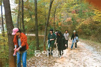 대전시와 충남북의 대청호 계족산 청남대 등을 연계하는 생태탐방로 관광 프로그램이
마련된다. 관광객들이 계족산 황톳길을 걷고 있다. 이기진 기자 doyoce@donga.com