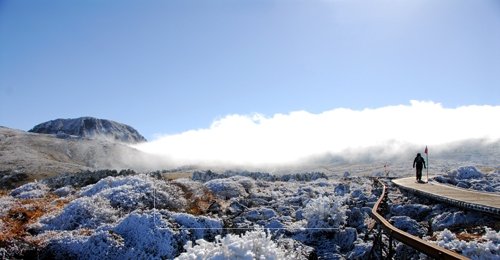 동장군을 이겨내기 위한 방법으로 눈꽃과 설원의 풍광을 즐기며 운동까지 할 수 있는 트래킹이 주목받고 있다. 겨울이 되면 설국으로 변하는 제주도 한라산에는 다양한 모양의 눈꽃을 감상할 수 있는 고산 평원 선작지왓(사진)이 있다.