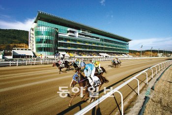 올해 부산, 경남에 각각 1102억 원의 세금을 낸 부산경남경마공원. 사진 제공 부산경남경마공원