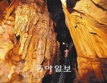 석회동굴은 이산화탄소를 포함한 빗물에 석회암이 용해되면서 형성됐다. 충북 단양군 단양읍 고수리에 있는 석회동굴인 ‘고수동굴’ 내부.사진 제공 단양군