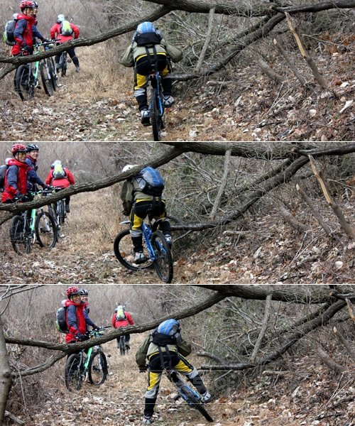 “혼자만 통과 못하는 거야?”산길로 들어서자 태풍 곤파스에 쓰러진 나무들이 곳곳에서 앞을 가로 막았다. 기울어져있는 밤나무 아래를 자전거를 탄 채 통과하려던 한 대원이 마지막 순간 배낭이 걸려 실패하는 것을 허영만 화백 등이 지켜보며 재미있다는 듯 웃고 있다. 사진｜김경민
