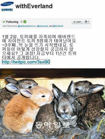 사진 제공 에버랜드