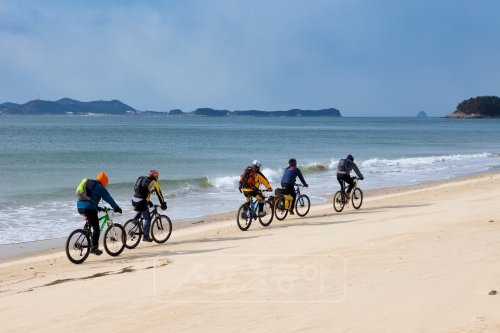 원산도 오봉산해변을 질주중인 자전거 식객들. 바닷가쪽 모래밭이 꽁꽁 얼어 바퀴가 빠지지 않고 달릴 수 있었다.  건너편에 삽시도가 보인다.
