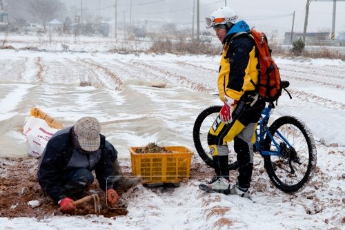 눈보라속에서 냉이를 캐는 할머니를 만났다. 할머니의 호미끝 걸려나오는 냉이를 통해 비록 동장군이 기승을 부리고 있는 겨울의 한가운데에 있으나 봄은 기어코 오고야 만다는 자연의 섭리를 본다.