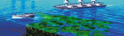 바다에 철 뿌리기 식물플랑크톤의 먹이가 되는 ‘철’을 바다에 뿌리면 광합성을 통해 이산화탄소를 바닷속에 저장해둘 수 있다.