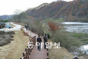 대전의 새로운 명물로 등장한 금강 로하스길. 올해 대덕구는 인근 도로 환경을 크게 개선한다. 이기진 기자 doyoce@donga.com